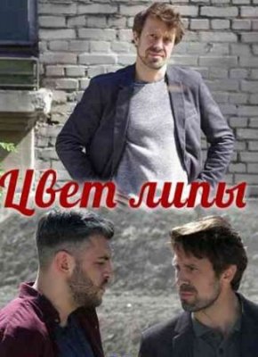 Цвет липы