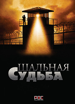 Шальная судьба