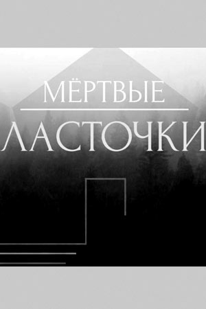 ̸����� ��������